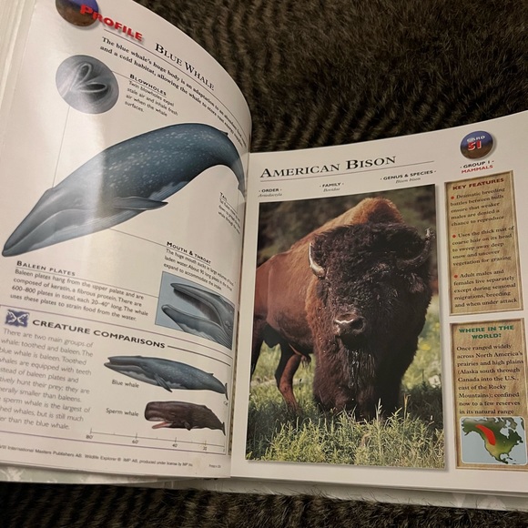 Wildlife Explorer 3 Ring Binder - Picture 2 of 9